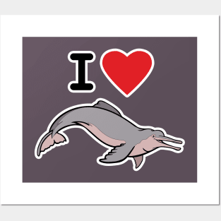 I Love Amazon River Dolphins Posters and Art